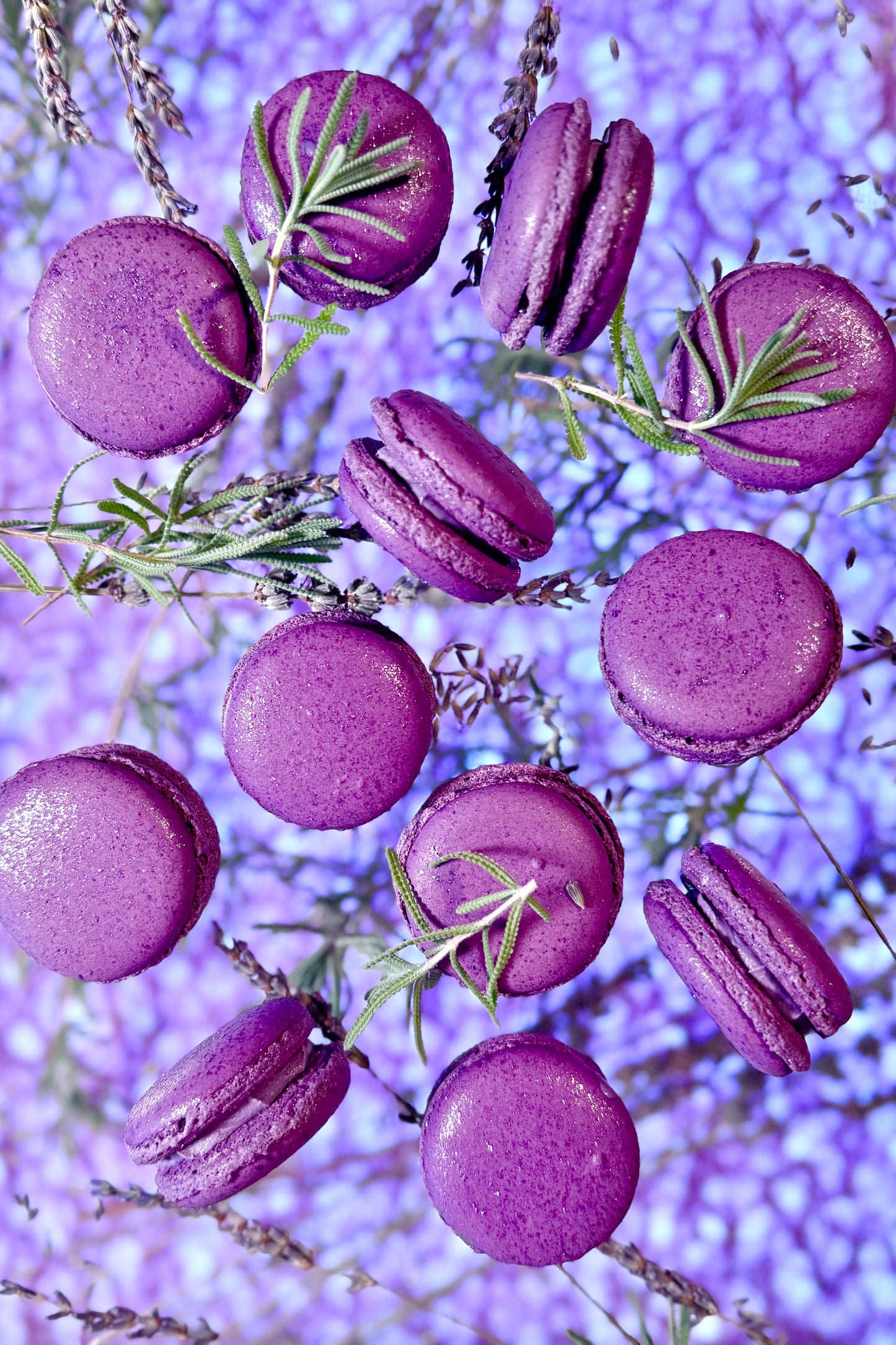 Caja Macarons lavanda